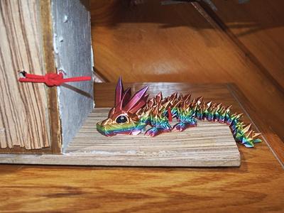 Dragon camera