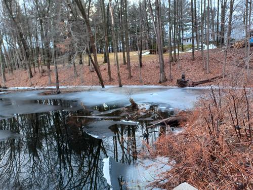 Winter in Littleton, MA #2