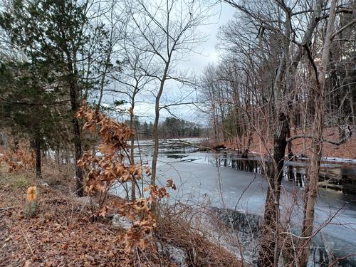 Winter in Littleton, MA #3