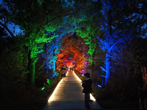 Enchanted Forest in the New England Botanic Garden