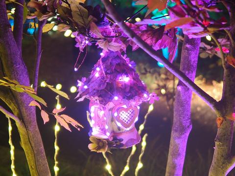 Fairy house at the New England Botanic Garden #9