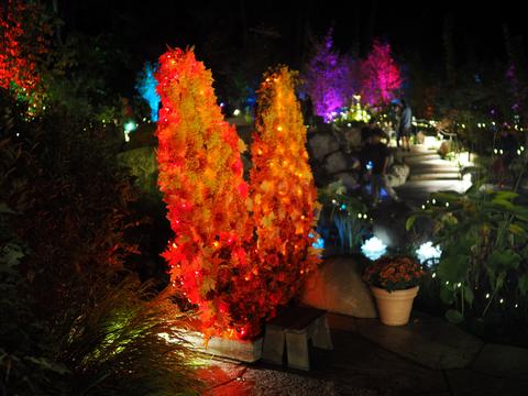 Enchanted Forest in the New England Botanic Garden #3