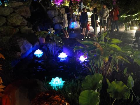 Enchanted Forest in the New England Botanic Garden #4