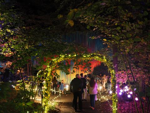 Enchanted Forest in the New England Botanic Garden #5