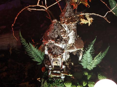 Enchanted Forest in the New England Botanic Garden #7