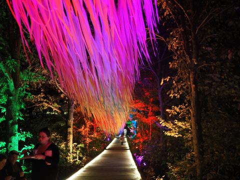 Enchanted Forest in the New England Botanic Garden #9