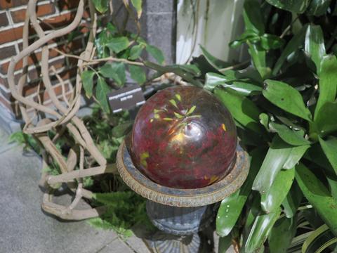 Enchanted Forest in the New England Botanic Garden #10