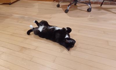 Nightwind yoga positions #3