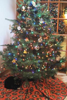 Nightwind, Christmas kitty #2