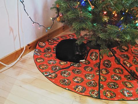 Nightwind, Christmas kitty #3