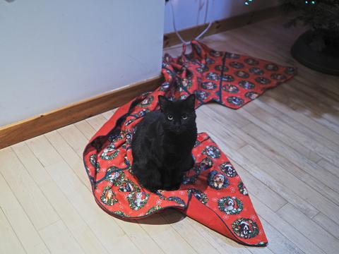 The christmas tree does not need the tree skirt