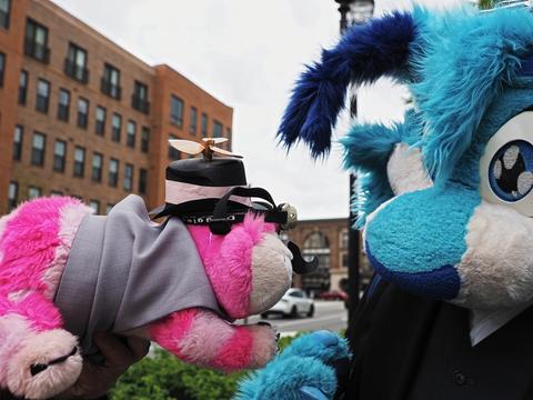 Chesire Cat vs. Steampunk Furry #2