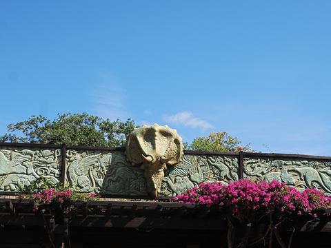 Animal Kingdom Park gate #2