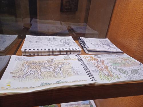 Sketchpad for Tiffins