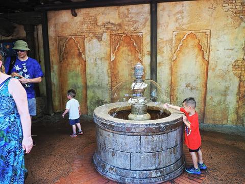 Water fountain outside of Kali River Rapids