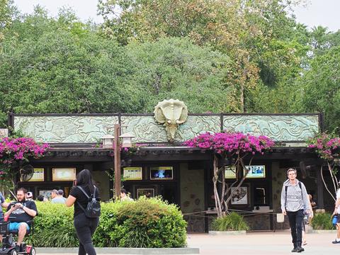 Animal Kingdom Park gate #4