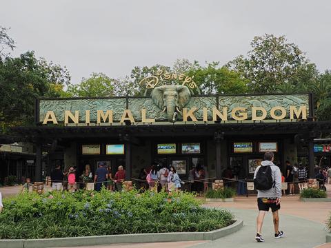 Animal Kingdom Park gate #5