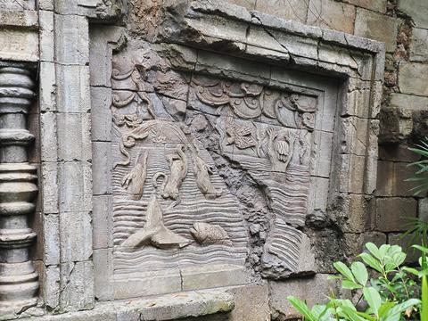 Maharajah Jungle Trek #8