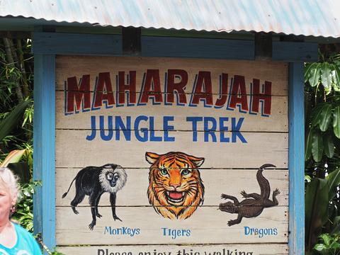 Maharajah Jungle Trek #12