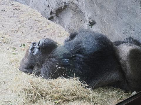 Catch some Zzzzzs #2