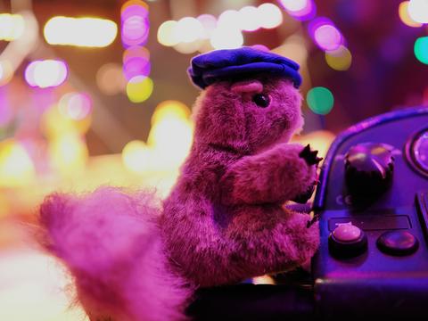 Nutzo at the Festival of the Lion King