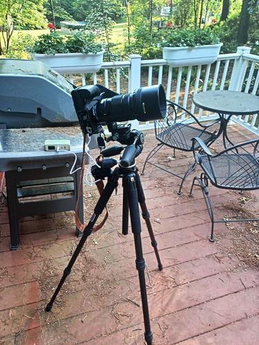 Set up for the hummingbird pictures