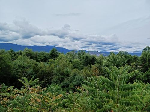 Mount Washington #25