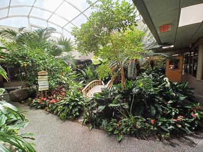 Garden at my gastroenterologist's office