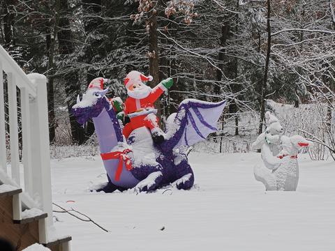 Christmas yard display