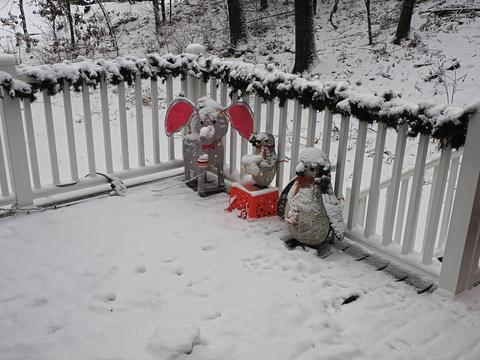 Our Christmas display