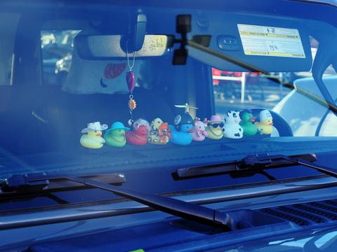 Jeep ducks
