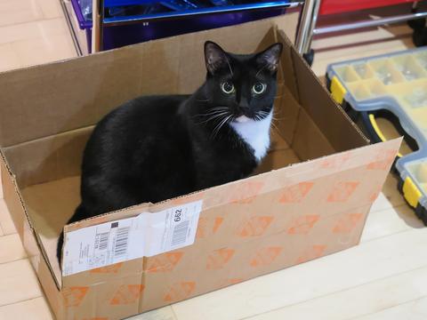 Nightwind in a box #2