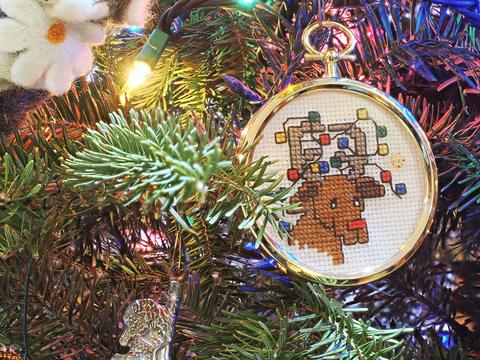 Reindeer ornament Liz made