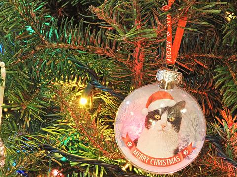 Tuxedo cat ornament