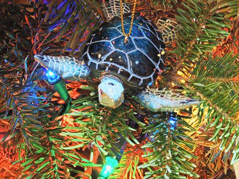Turtle ornament