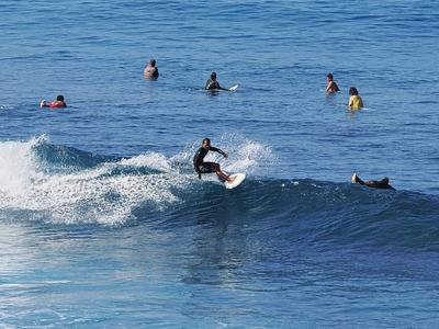 Surfer #41