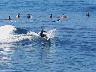 Surfer #42