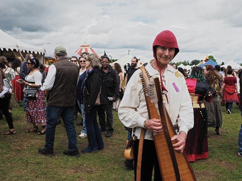 Guy Todd Wandering Harpist
