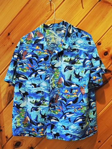 Whale shirt
