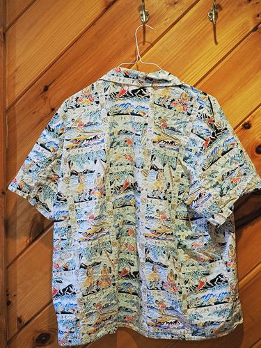 Hawaiian shirt #2