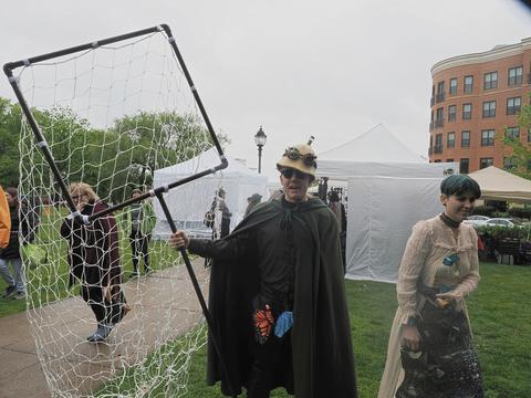 Looking for giant butterflies