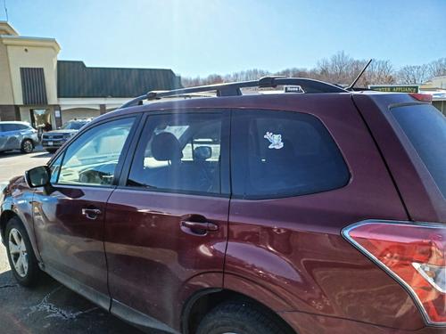 My old 2015 Subaru Forester #2