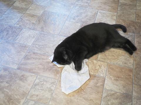 Diana with a towel #2