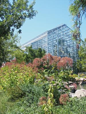 Greenhouse #2