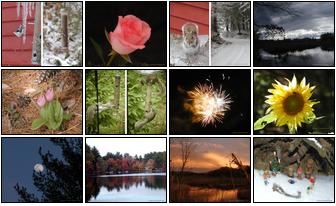 Small combination photos of 2004 Meissner Family Calendar