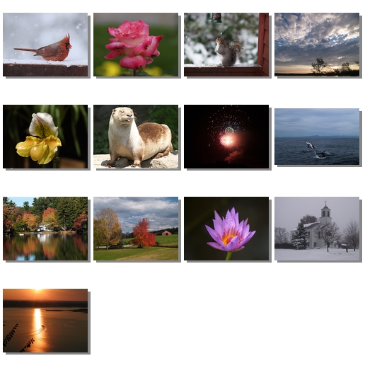 Small combination photos of 2007 Meissner Family Calendar