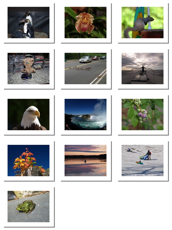 Small combination photos of 2008 Meissner Family Calendar