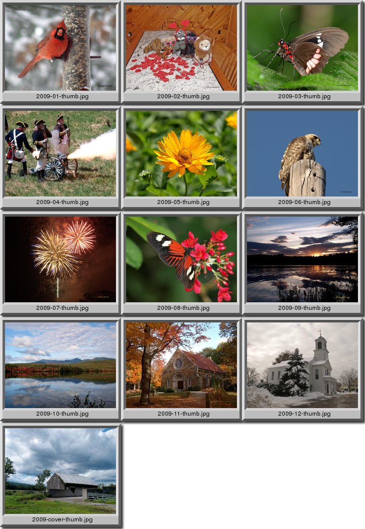 Small combination photos from 2007-2008 for the Meissner Family Calendar