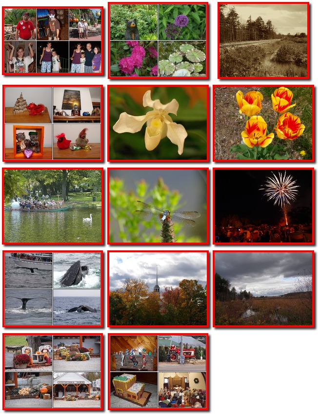 Small combination photos from 2010 for the Meissner Family Calendar