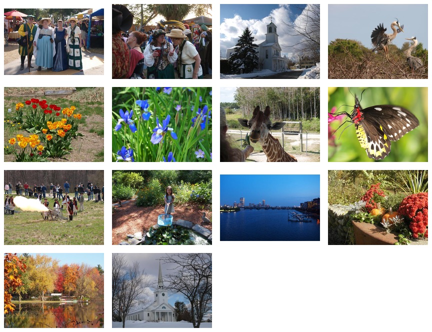 Small combination photos from 2011 for the Meissner Family Calendar